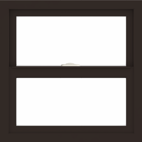 WDMA 24x24 (23.5 x 23.5 inch) Dark Bronze Aluminum Single and Double Hung Window without grids interior
