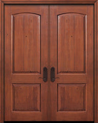 WDMA 64x96 Door (5ft4in by 8ft) Exterior Knotty Alder 96in Double 2 Panel Arch Door 1