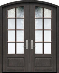 WDMA 72x96 Door (6ft by 8ft) Exterior Mahogany 36in x 96in Double Arch Top 8 Lite SDL DoorCraft Door 1