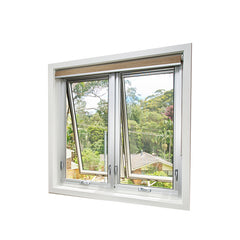 China WDMA New Products Guangdong Puertana Florida Approval Fl23013 Miami Windows Decorative House Aluminium Awning Windows